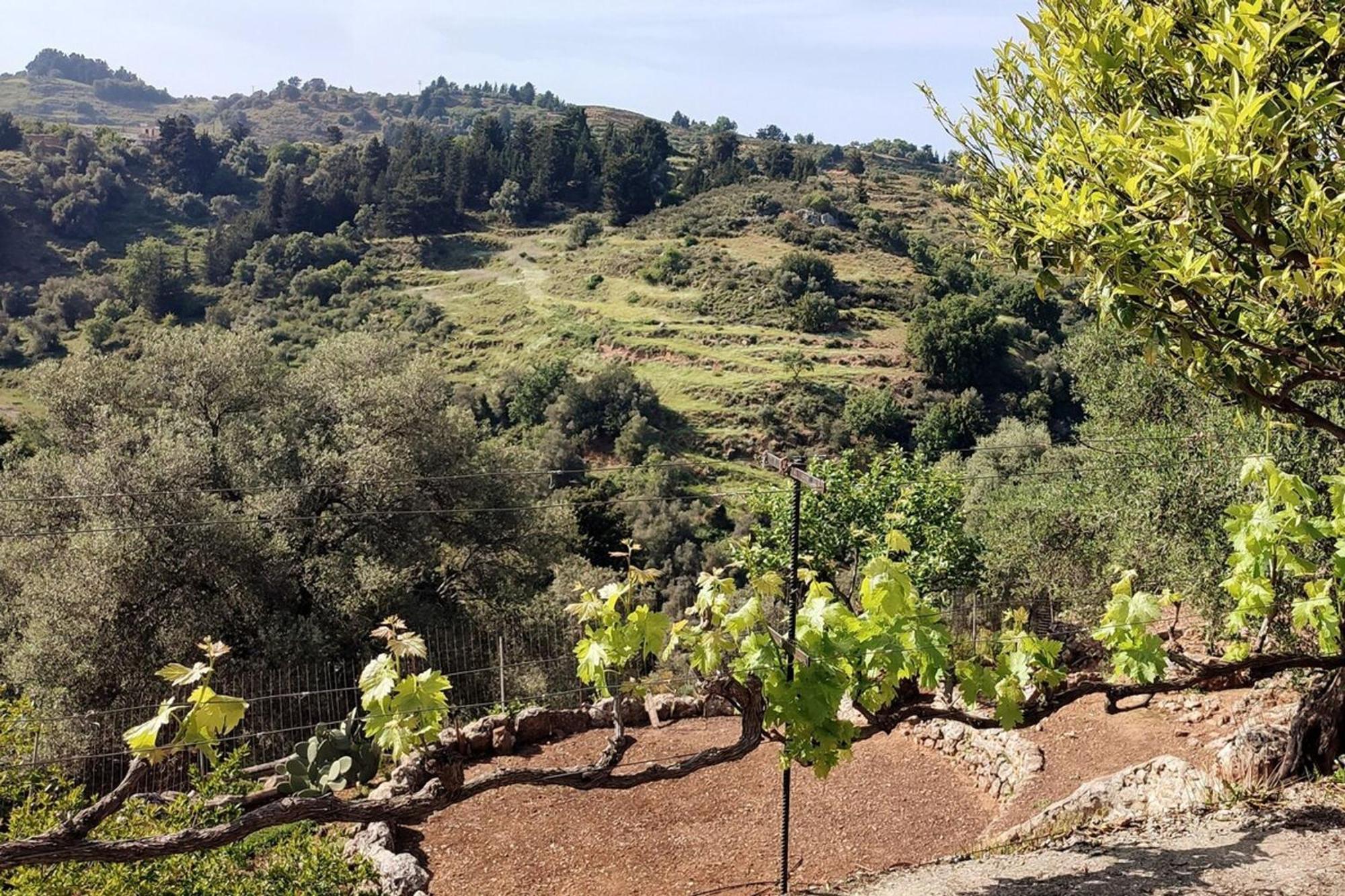 Aoria Traditional House With Stuning Mountain View Loulos 外观 照片